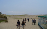 08-0503-02.jpg