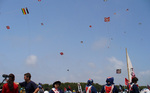 08-0503-03.jpg