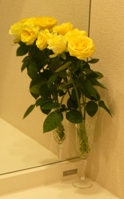 08-1004-01.jpg