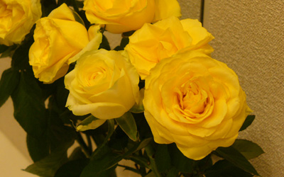 08-1004-02.jpg