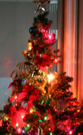 08-1201-05.jpg