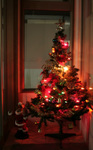 10-1201-01.jpg