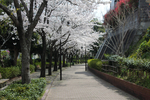 2013.03.28 (1)-1.jpg