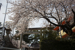 2013.03.28 (1)-2.jpg