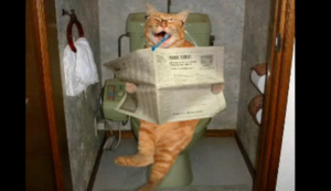 L݂͂.png