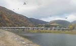 20101123094841.jpg